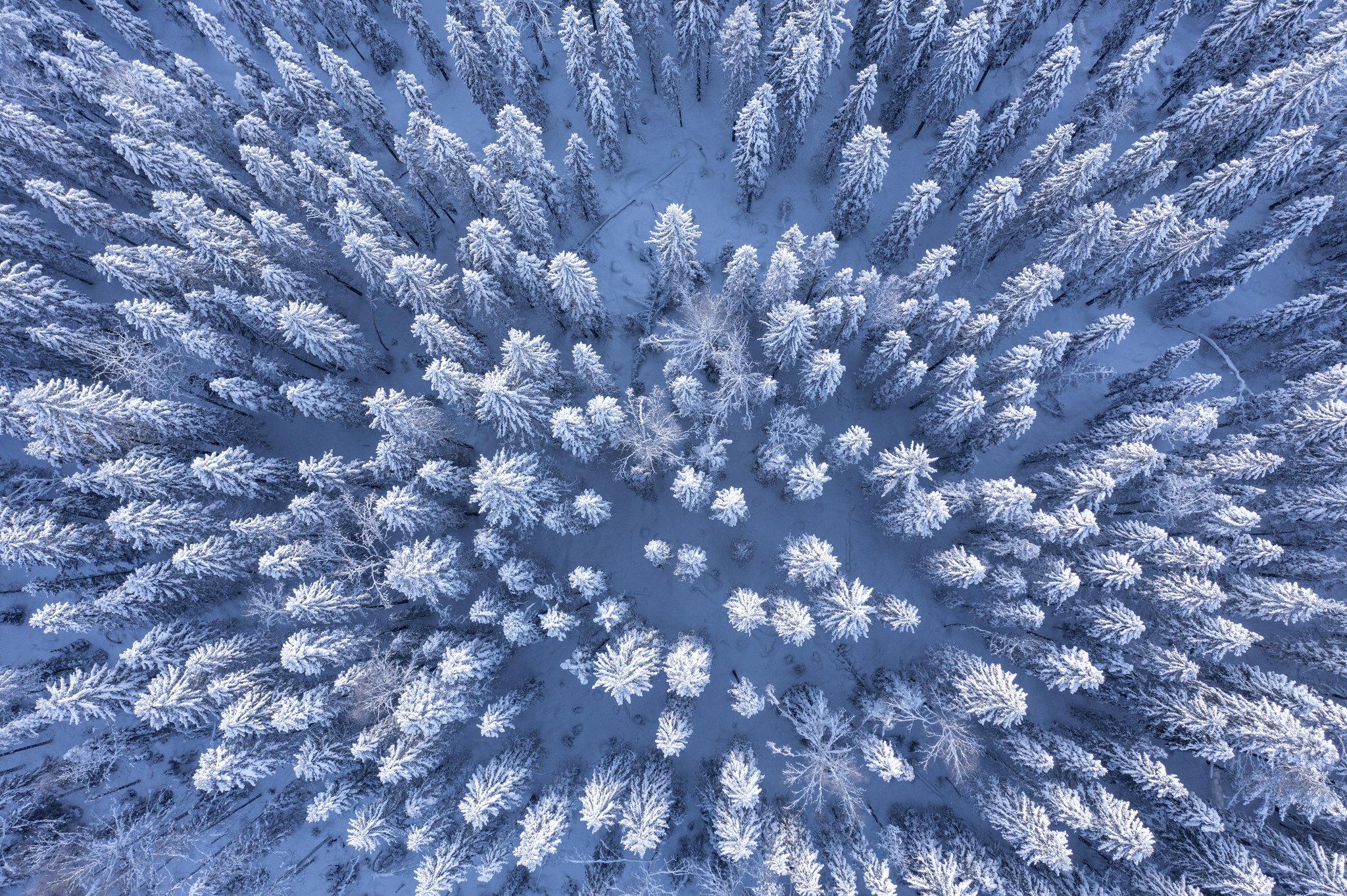 Suomi-luonnon parhaat palat